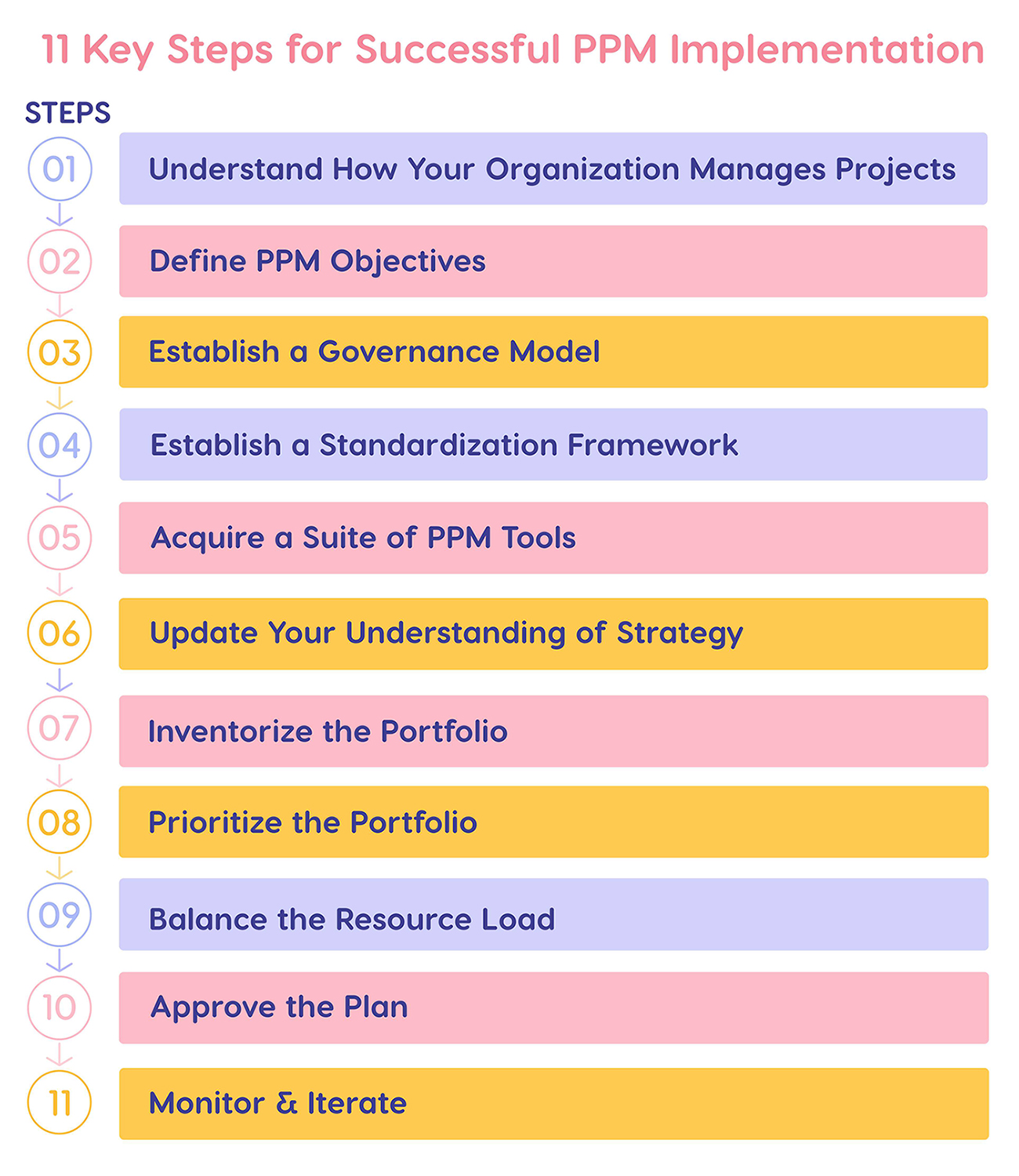 Project portfolio management implementation plan.