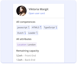 Resource management software UI preview