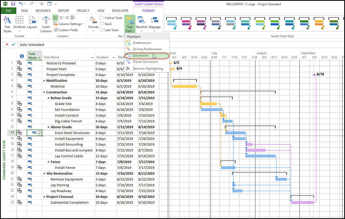 MS Project interface.